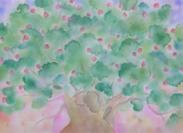 2007年4月24日